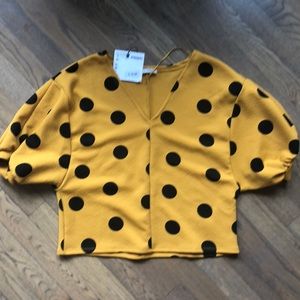 Zara saffron and black polka dot blouse